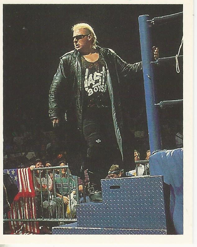 WWF Merlin Stickers 1992 Nasty Boys #214