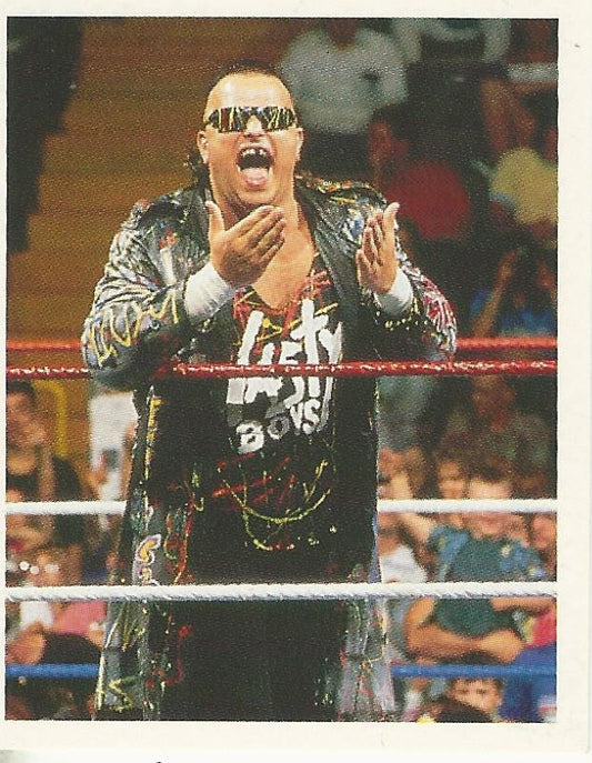 WWF Merlin Stickers 1992 Nasty Boys #215