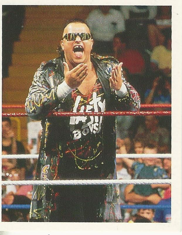 WWF Merlin Stickers 1992 Nasty Boys #215