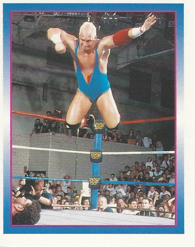 WWF Merlin Stickers 1995 Skip #215