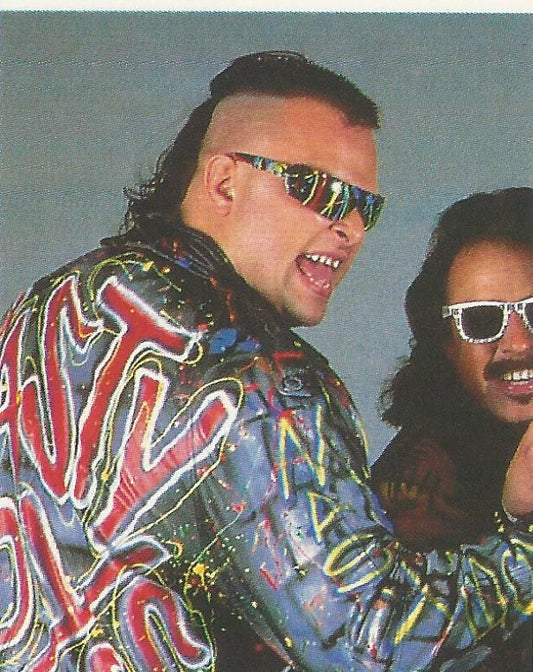 WWF Merlin Stickers 1992 Nasty Boys #217