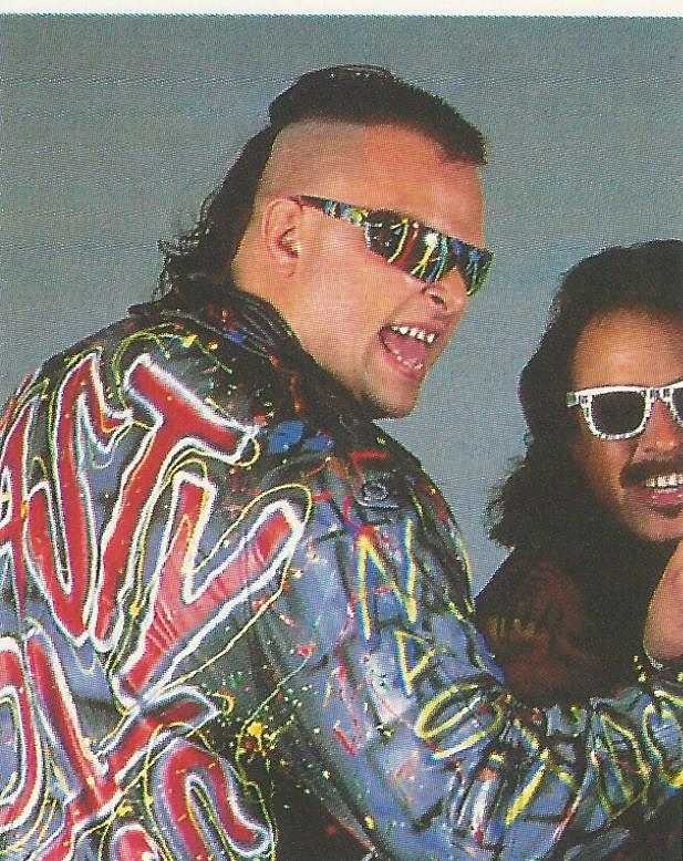 WWF Merlin Stickers 1992 Nasty Boys #217