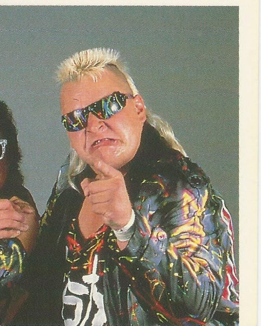WWF Merlin Stickers 1992 Nasty Boys #218