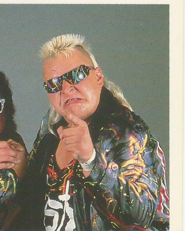 WWF Merlin Stickers 1992 Nasty Boys #218