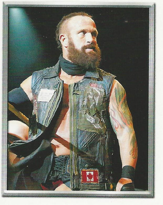 WWE Topps 2018 Stickers Eric Young #218