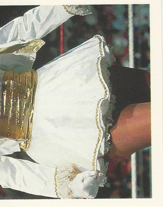 WWF Merlin Stickers 1991 Sensational Sherri #219