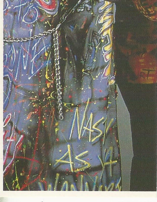 WWF Merlin Stickers 1992 Nasty Boys #219