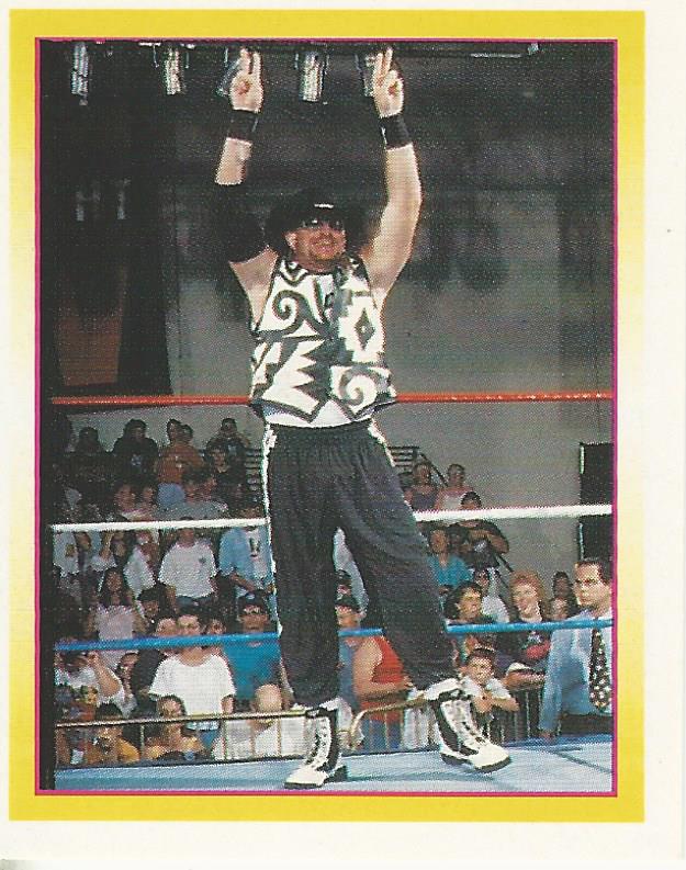 WWF Merlin Stickers 1995 Road Dogg #219