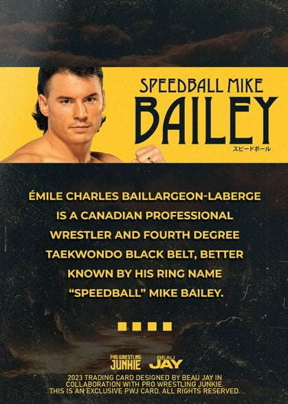 Speedball Mike Bailey trading card PW Catalog