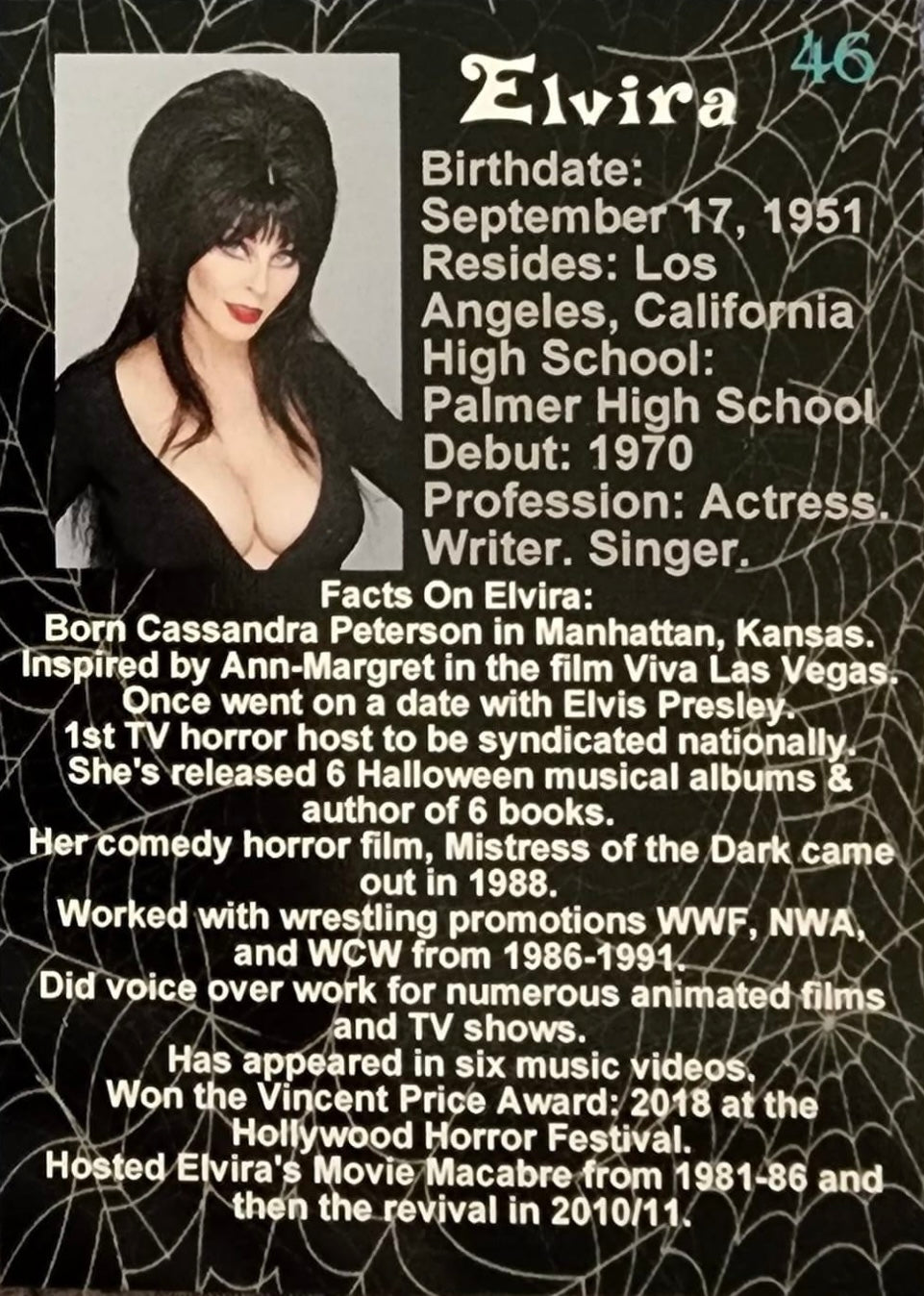 Elvira “Mistress of the Dark” - image 2