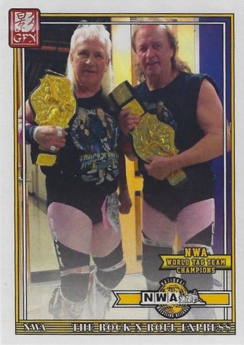 The Rock N Roll Express NWA World TAG Team Champions
