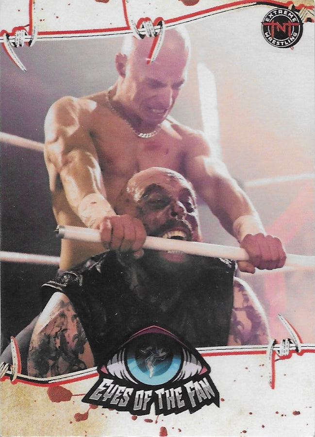 Eyes of the Fan trading card PW Catalog