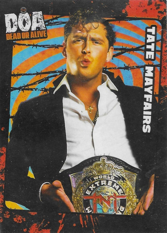 Tate Mayfairs trading card PW Catalog