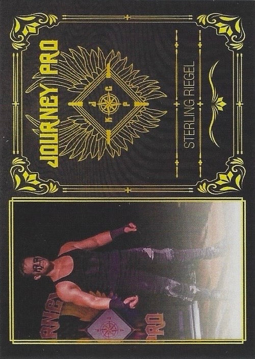 Sterling Riegel trading card PW Catalog
