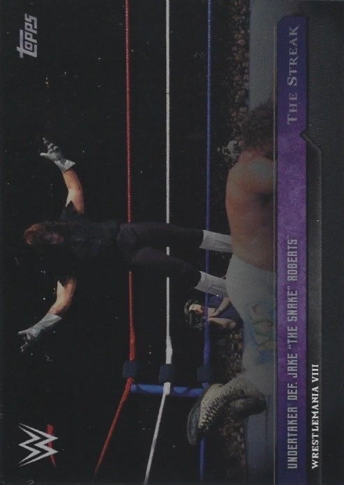Wrestlemania Viii – Undertaker DEF. Jake “the Snake” Roberts trading card PW Catalog
