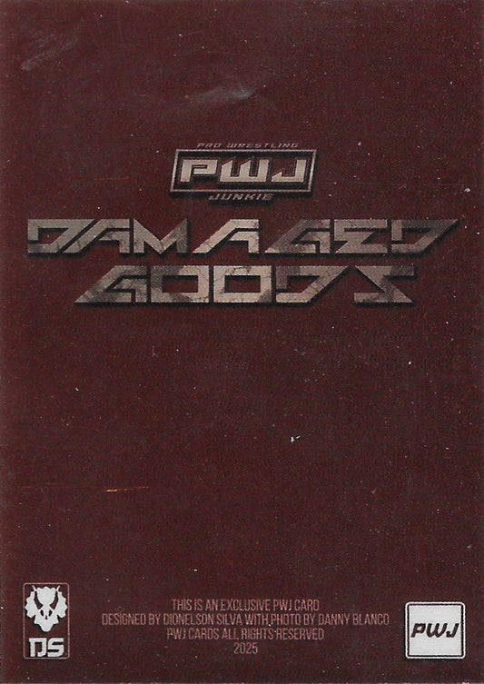 Zayda Steel trading card PW Catalog