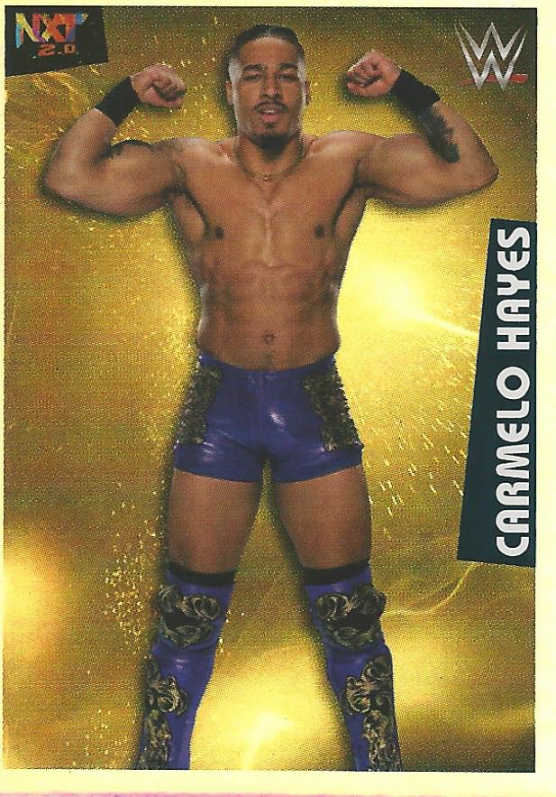 WWE Panini 2022 Sticker Collection Carmelo Hayes Foil #220