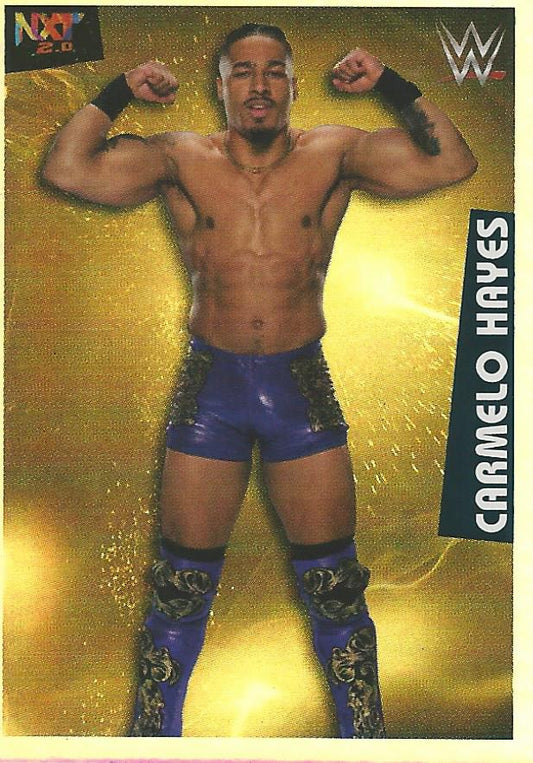 WWE Panini 2022 Sticker Collection Carmelo Hayes Foil #220