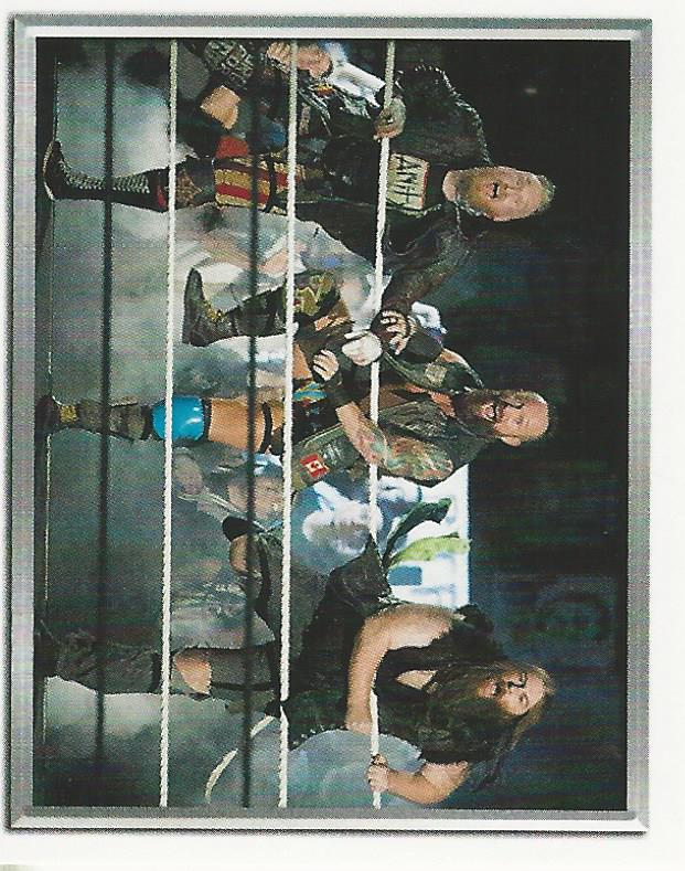 WWE Topps 2018 Stickers Sanity #220