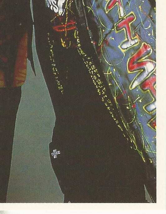 WWF Merlin Stickers 1992 Nasty Boys #220