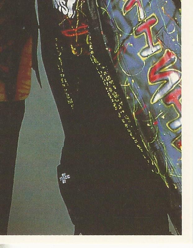 WWF Merlin Stickers 1992 Nasty Boys #220
