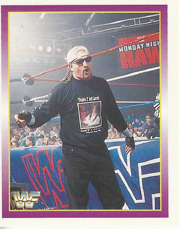 WWF Merlin Stickers 1995 Road Dogg #220