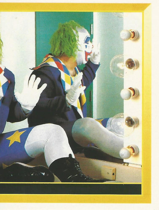 WWF Merlin Sticker 1994 Doink #221