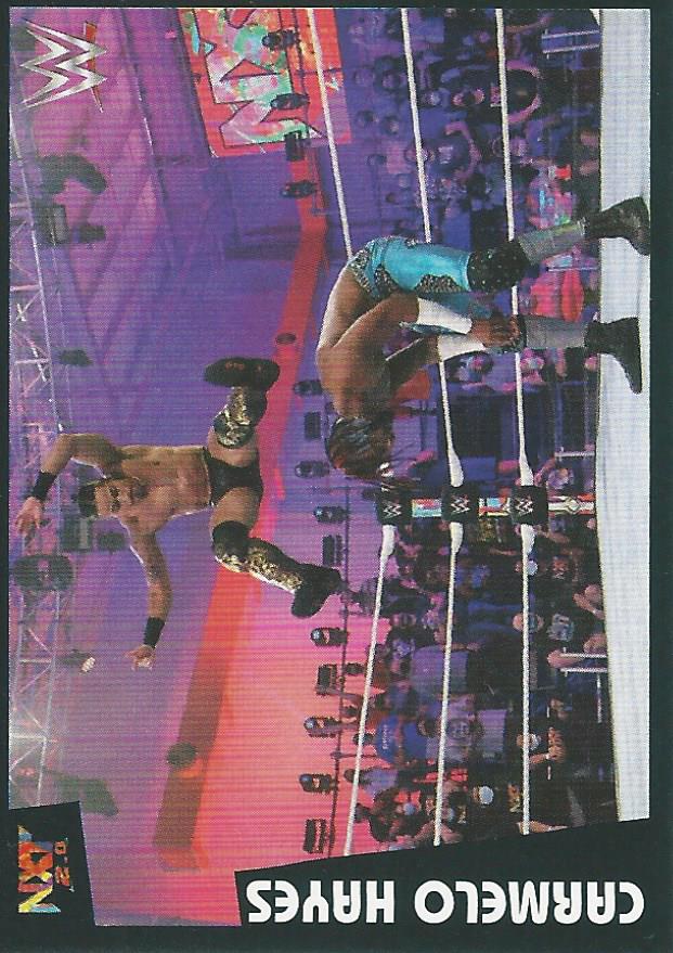 WWE Panini 2022 Sticker Collection Carmelo Hayes #221