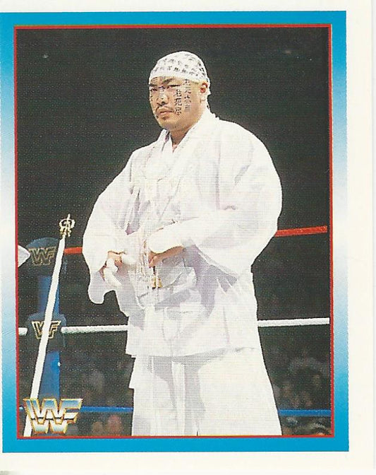 WWF Merlin Stickers 1995 Hakushi #223