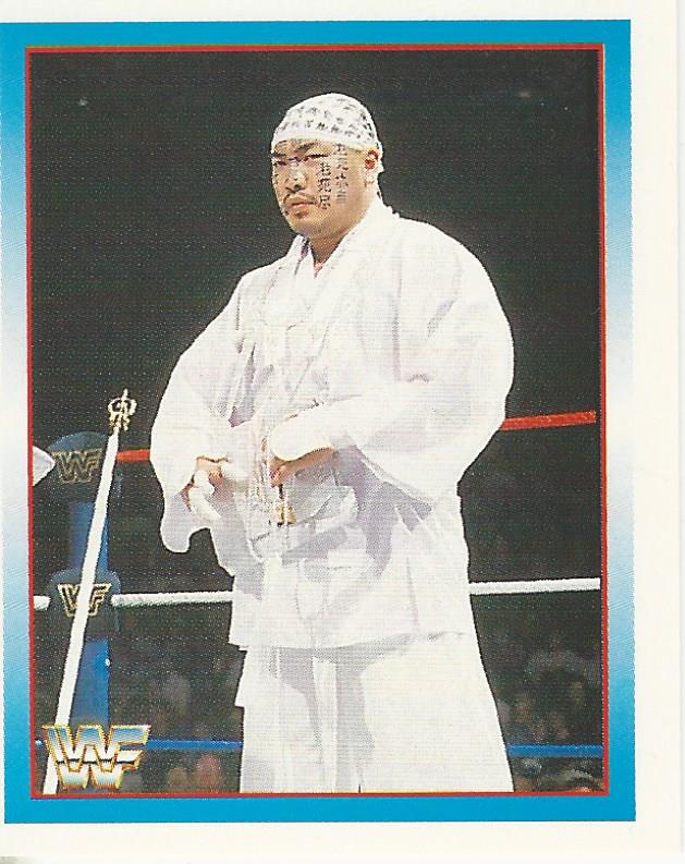 WWF Merlin Stickers 1995 Hakushi #223