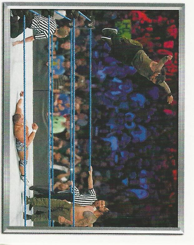 WWE Topps 2018 Stickers The Usos #223