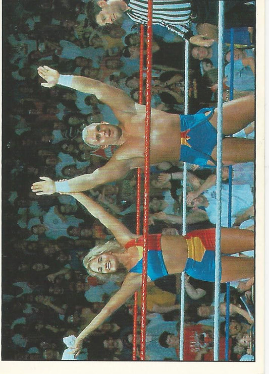 WWF Panini 1995 Sticker Collection Skip and Sunny #223
