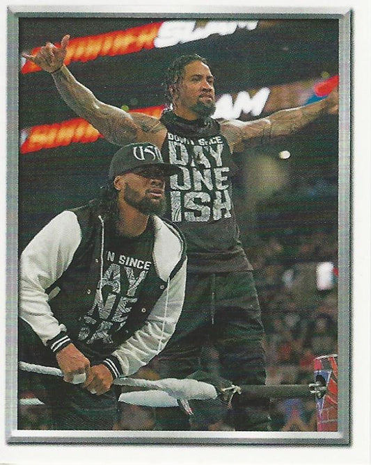 WWE Topps 2018 Stickers The Usos #224