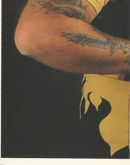 WWF Merlin Stickers 1992 Bam Bam Bigelow #224