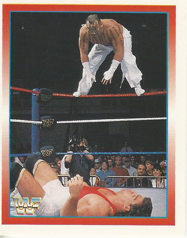 WWF Merlin Stickers 1995 Hakushi #224