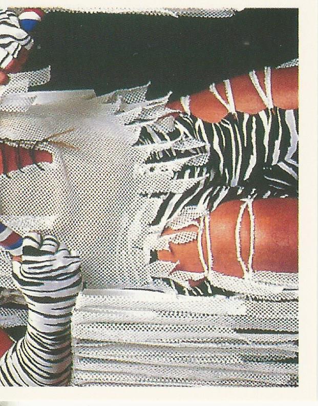 WWF Merlin Stickers 1991 Brutus Beefcake #225