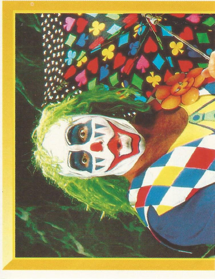 WWF Merlin Sticker 1994 Doink #225