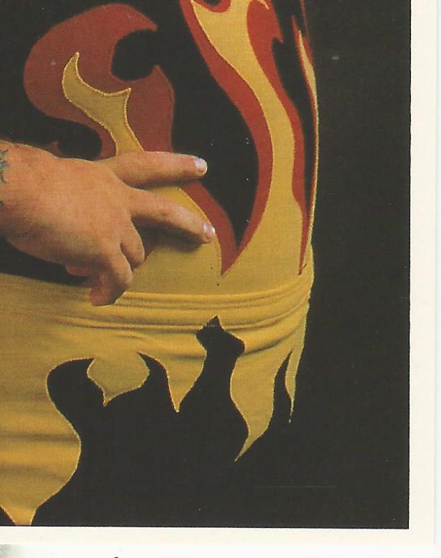 WWF Merlin Stickers 1992 Bam Bam Bigelow #225