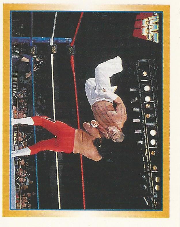 WWF Merlin Stickers 1995 Hakushi #225