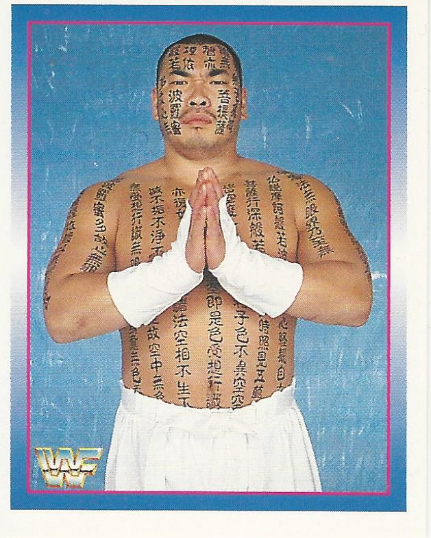WWF Merlin Stickers 1995 Hakushi #226
