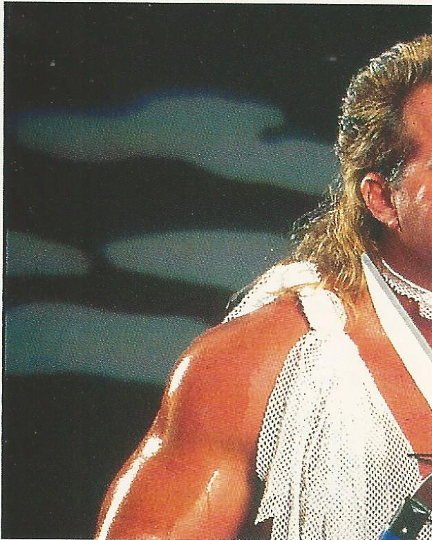 WWF Merlin Stickers 1991 Brutus Beefcake #226