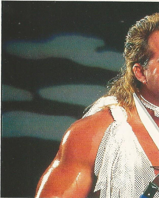 WWF Merlin Stickers 1991 Brutus Beefcake #226