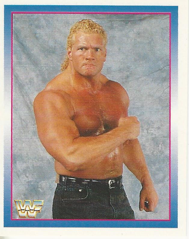 WWF Merlin Stickers 1995 Sid #227