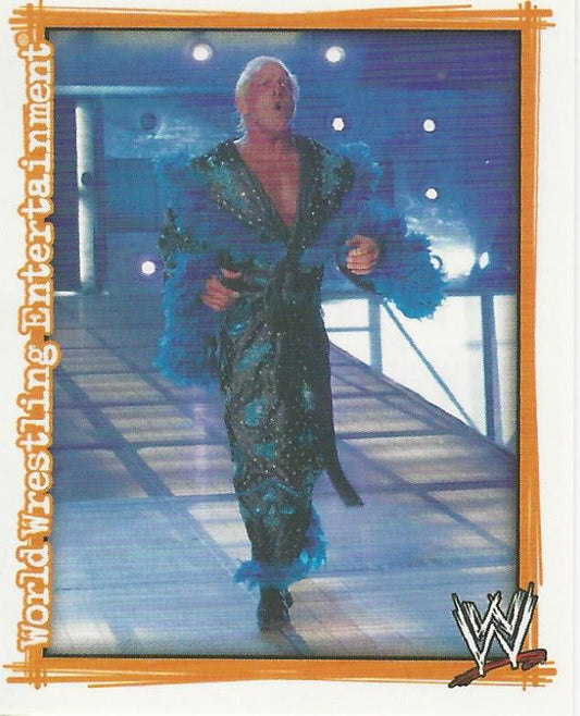 WWE Topps Superstars Uncovered 2007 Sticker Ric Flair P7 trading card PW Catalog
