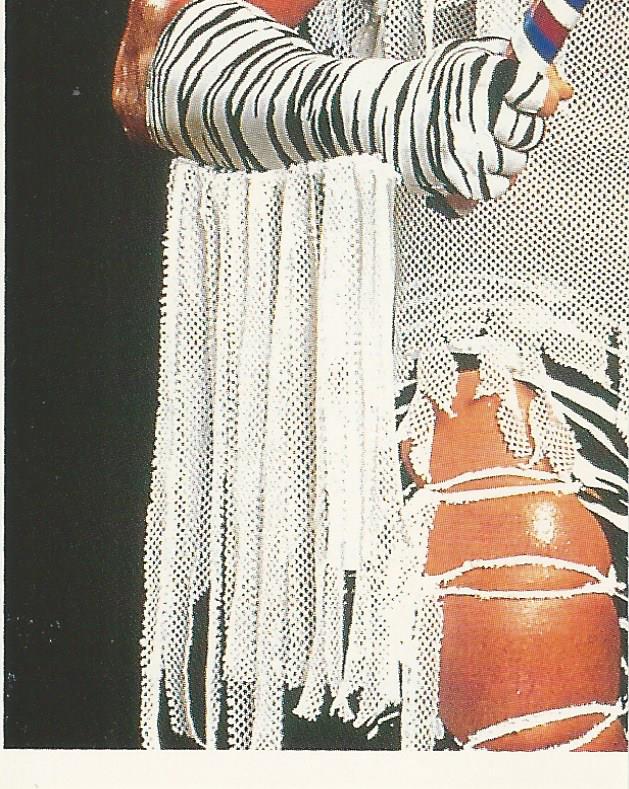 WWF Merlin Stickers 1991 Brutus Beefcake #228