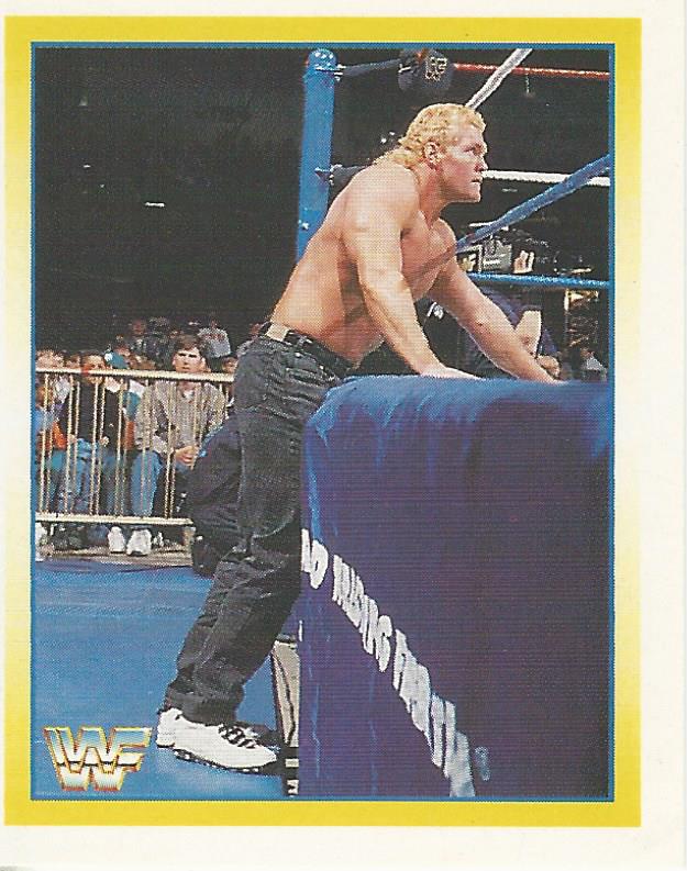 WWF Merlin Stickers 1995 Sid #228