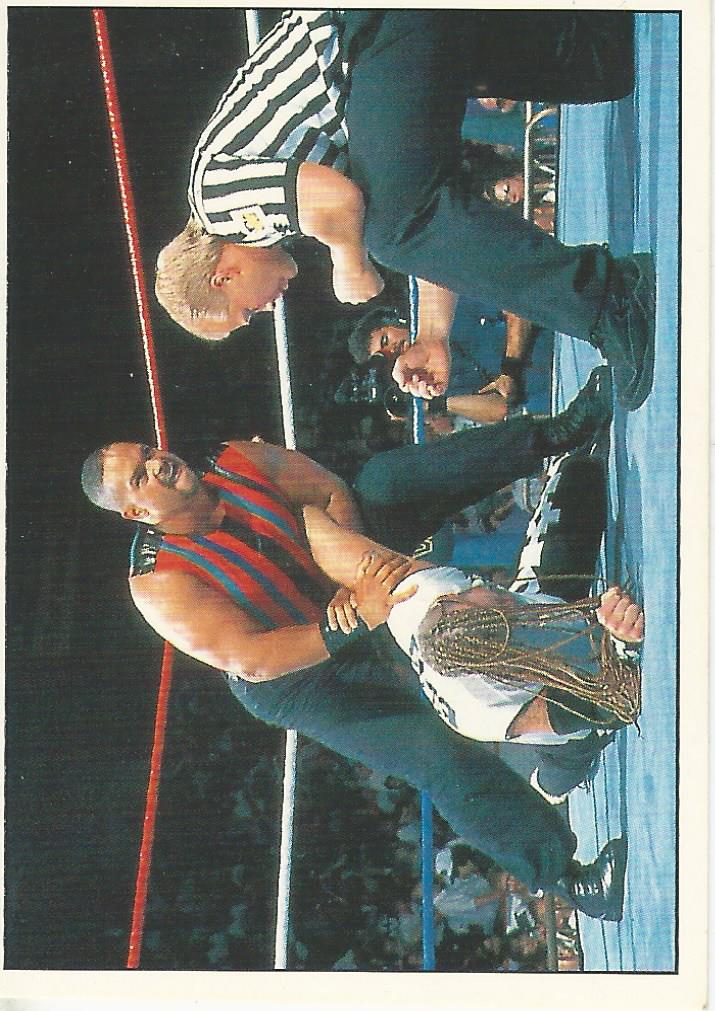 WWF Panini 1995 Sticker Collection Savio Vega #229