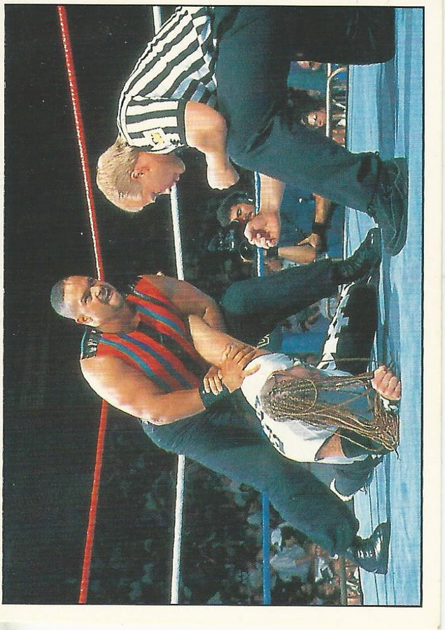 WWF Panini 1995 Sticker Collection Savio Vega #229
