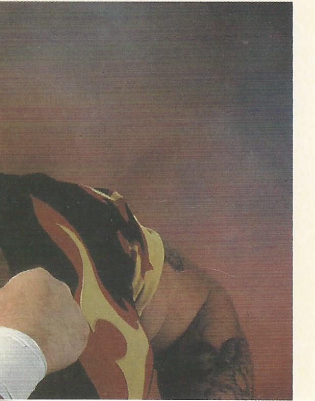 WWF Merlin Stickers 1992 Bam Bam Bigelow #229