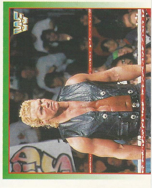 WWF Merlin Stickers 1995 Sid #229